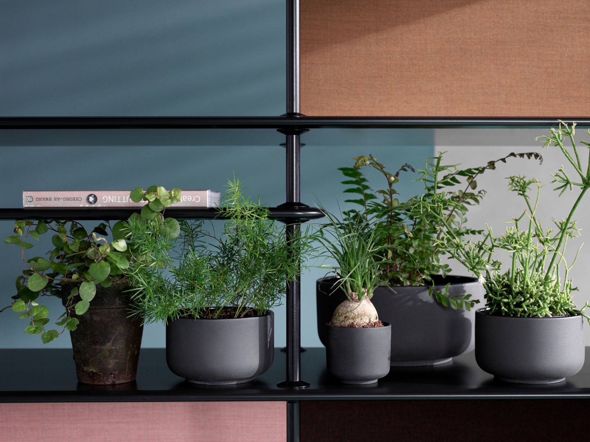 Detailaufnahme eines Montana Free Regals in Fjord mit Pflanzen in Töpfen als Dekoration.