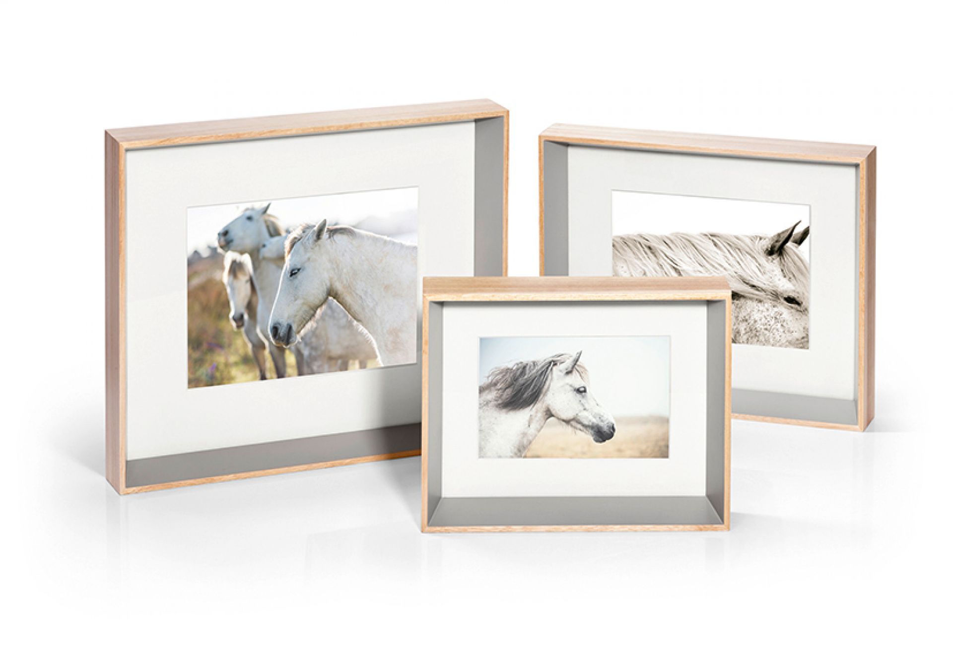 Drei Gispy Bilderrahmen von Philippi mit Pferde-Motiven in verschiedenen Größen und Ansichten.