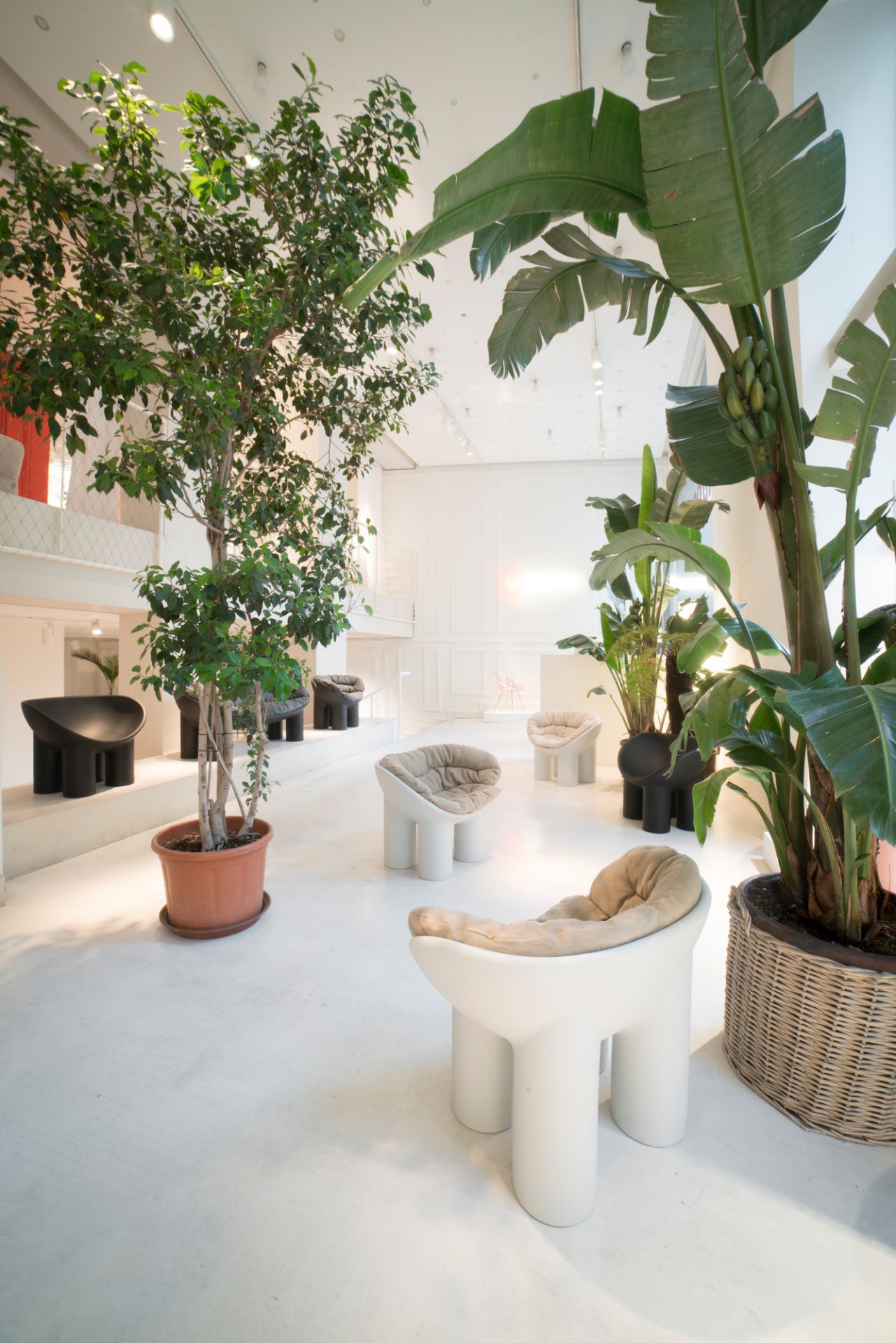 Roly Poly Sessel Driade Ochre