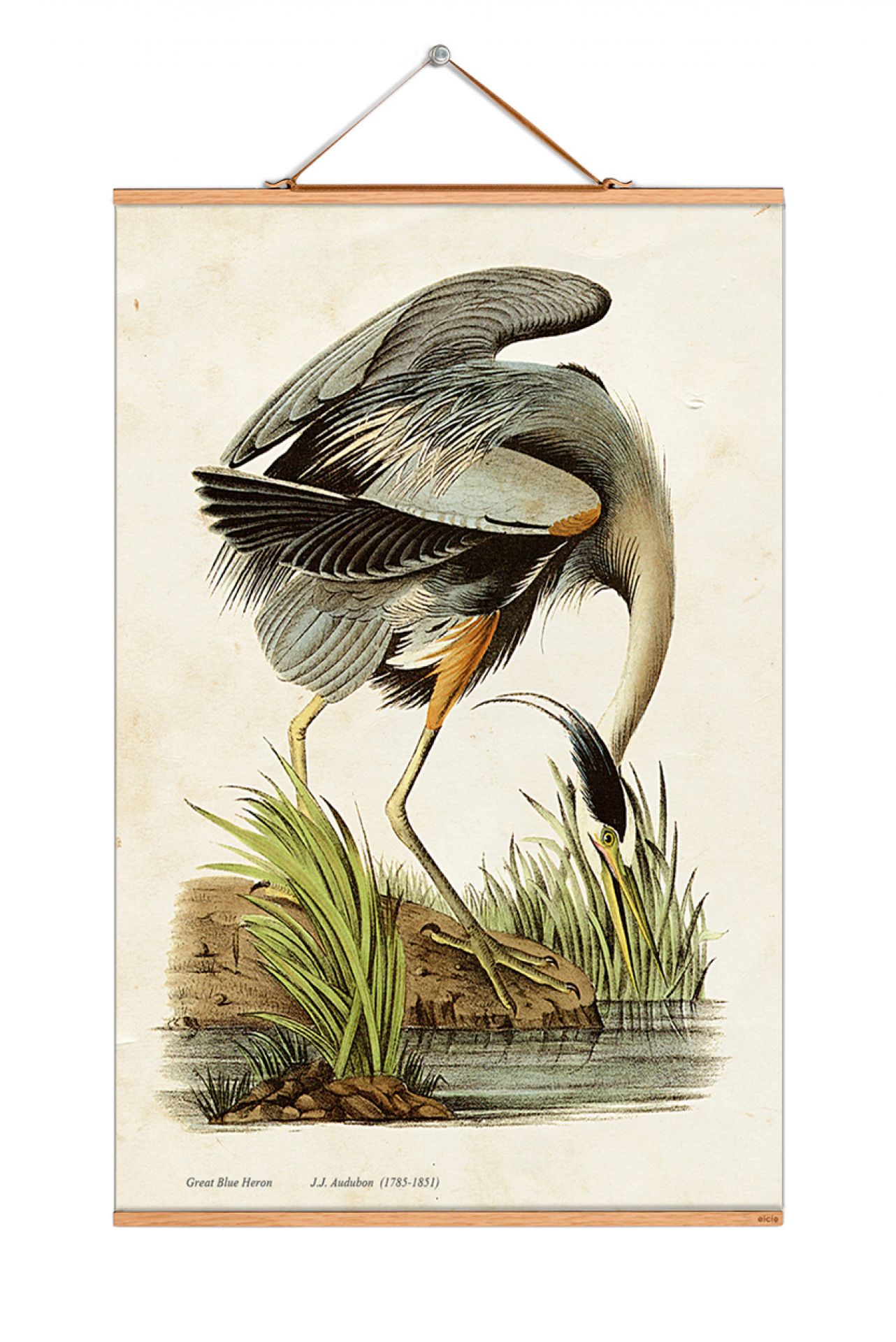 John James Audubon Poster: Detailreiche Illustration eines Graureihers am Wasser. Vintage Wanddeko.