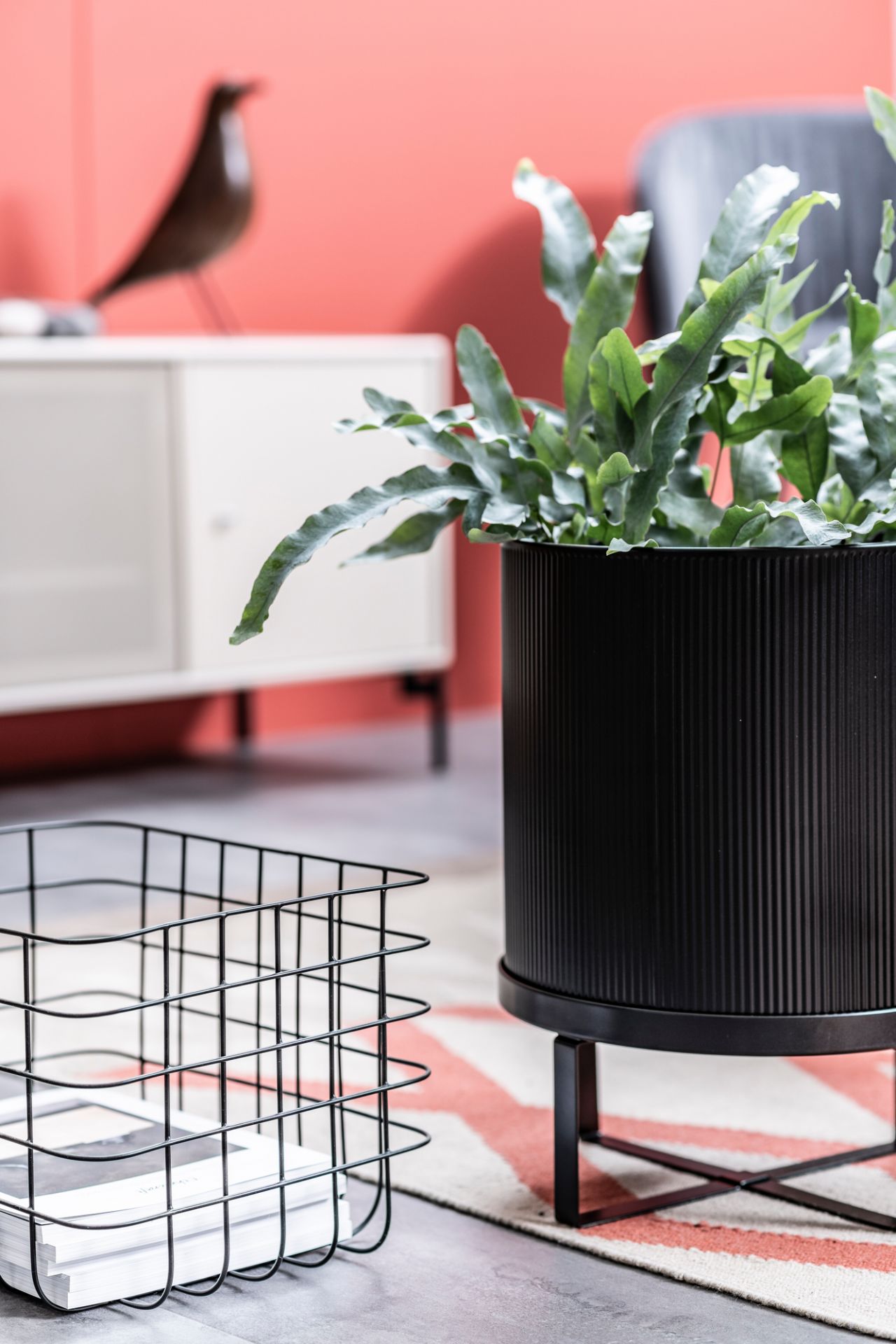 Schwarzer Ferm Living Bau Pot Blumentopf, groß, mit Pflanze im modernen Wohnzimmer. Design Pflanzgefäß.