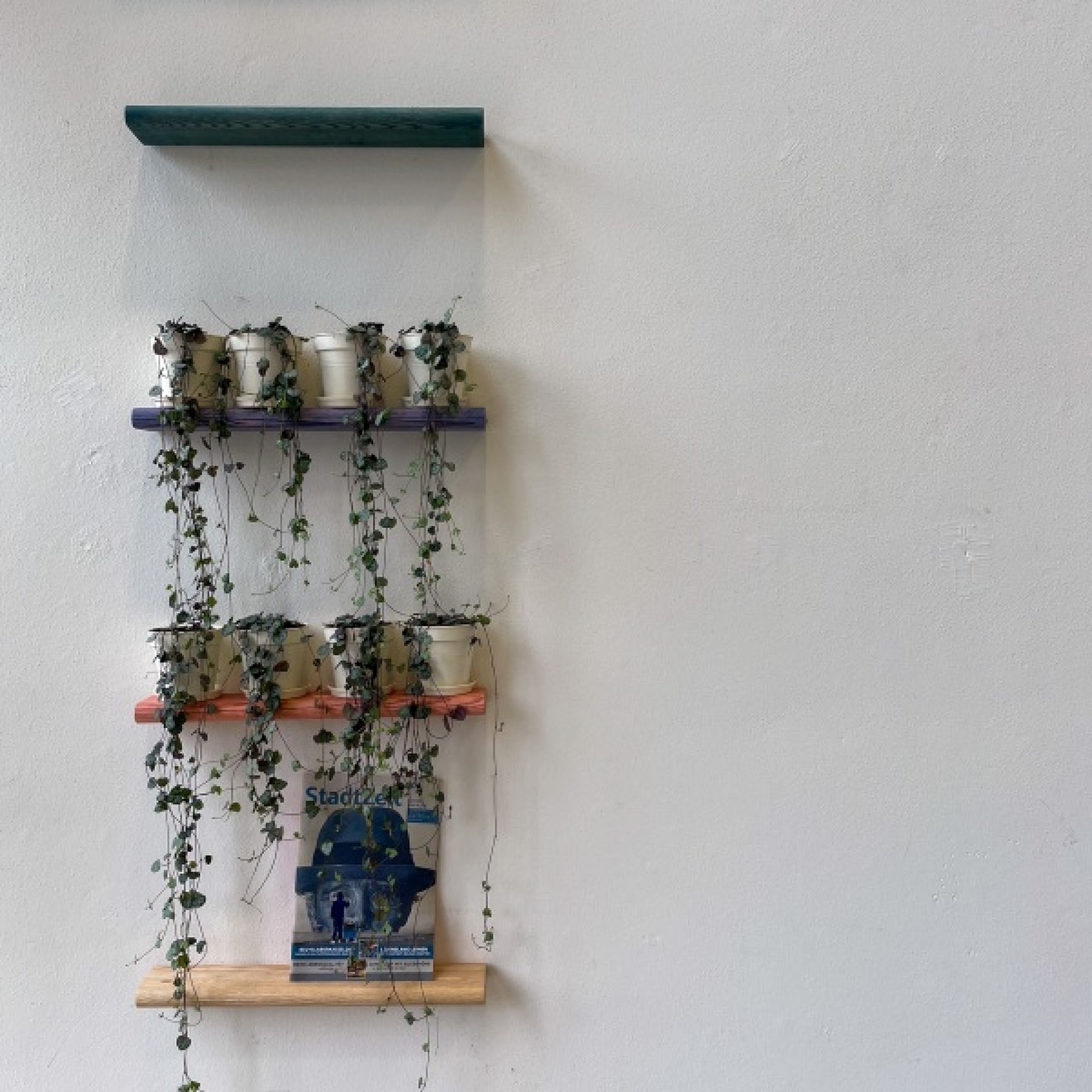 D:001 Wandregal Fuchs & Habicht