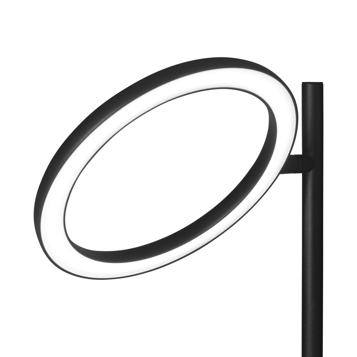 Echo Small Table Tischleuchte Japth: Moderne Tischlampe mit ringförmigem Leuchtkörper in Schwarz.
