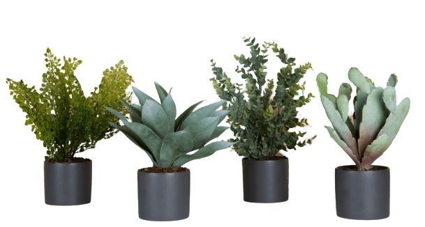 Phoenix Sukkulente Cylindrical Pots 4-er Set Grau (Flaschentöpfe) Kunstpflanze Tanaman    