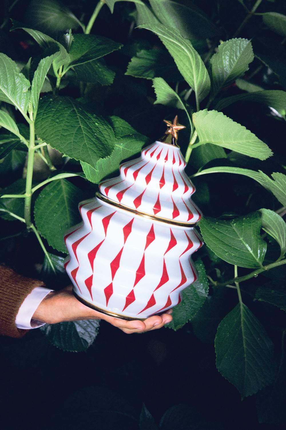 Hand hält Alessi Keksdose in Tannenbaumform, weiß mit roten Rauten und goldenem Stern.