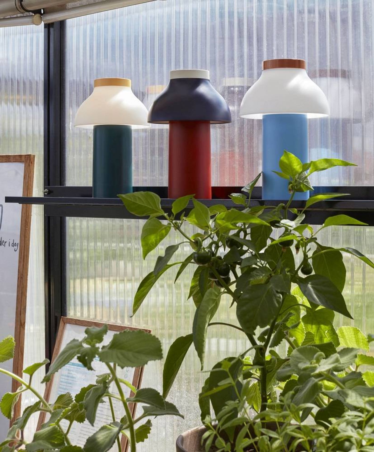 Drei farbige PC Portable Akkuleuchten von Hay auf einem Regal, moderne Tischleuchten.