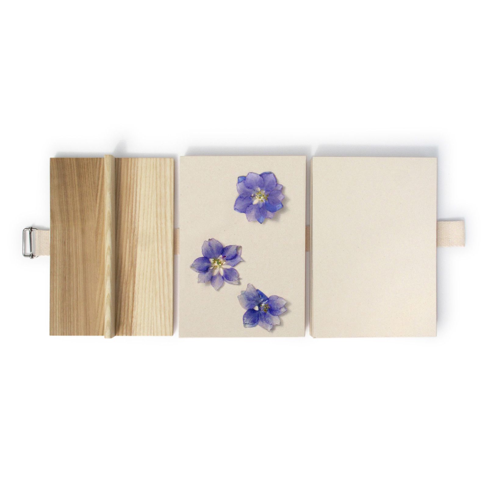 Geöffnete A5 Blütenpresse aus Holz mit gepressten, blauen Blumen auf Papier. DIY Bastelset zum Blumen pressen.