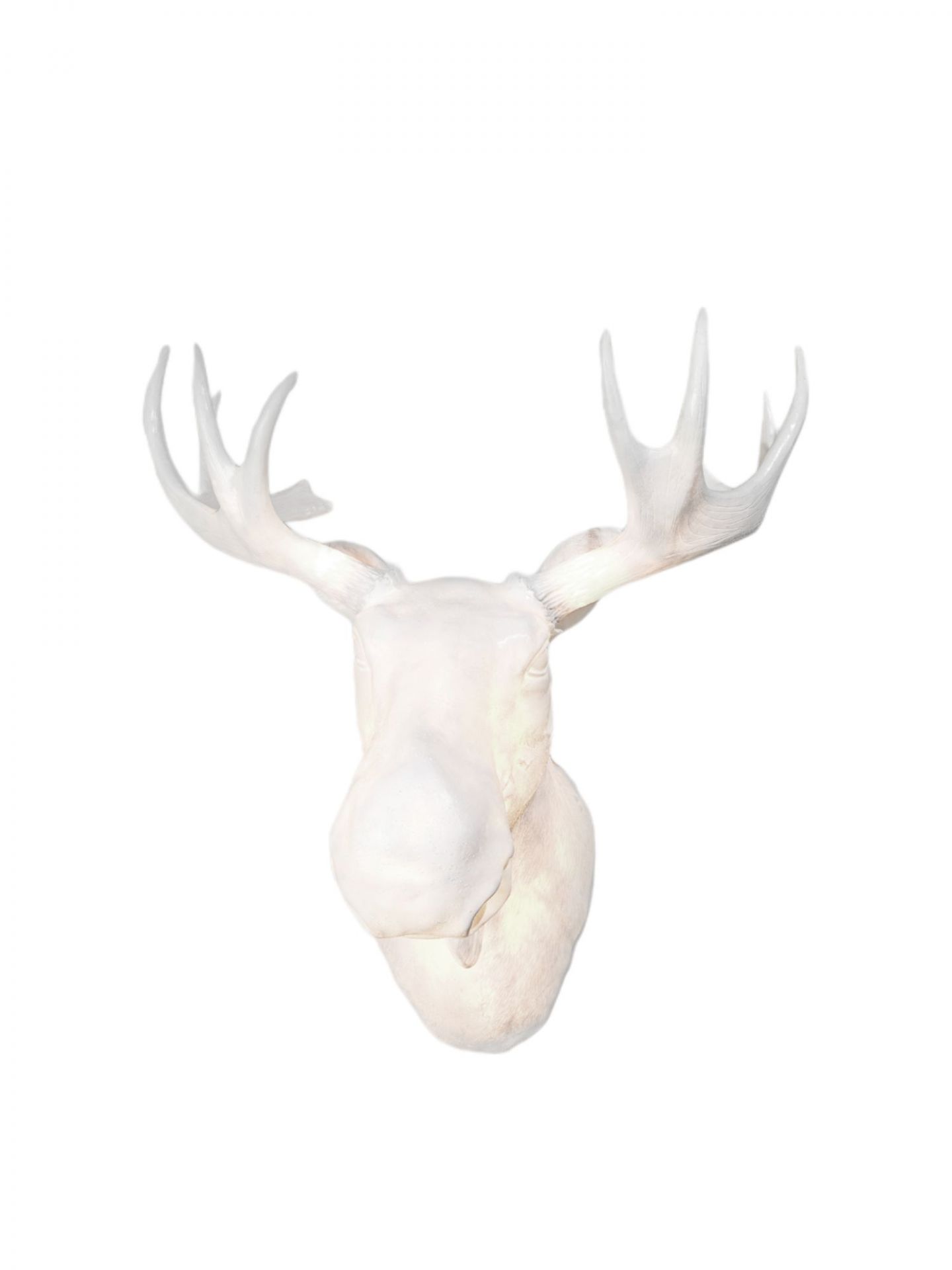 Weiße Moo Wandleuchte in Elch-Form, moderne Wanddeko für Wohnzimmer und Schlafzimmer.