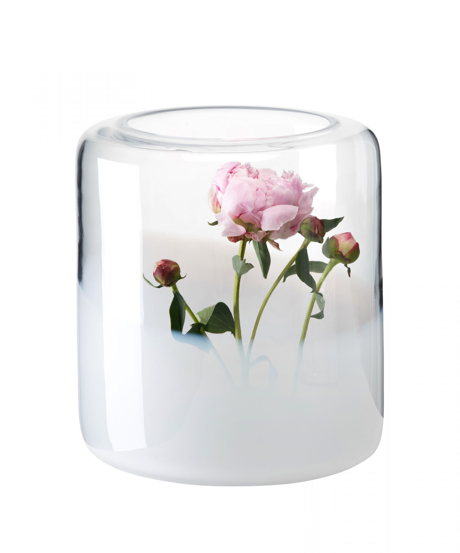 Glasvase Glasgow mit rosa Pfingstrose, moderne Blumenvase für Wohnzimmer und Tischdeko.