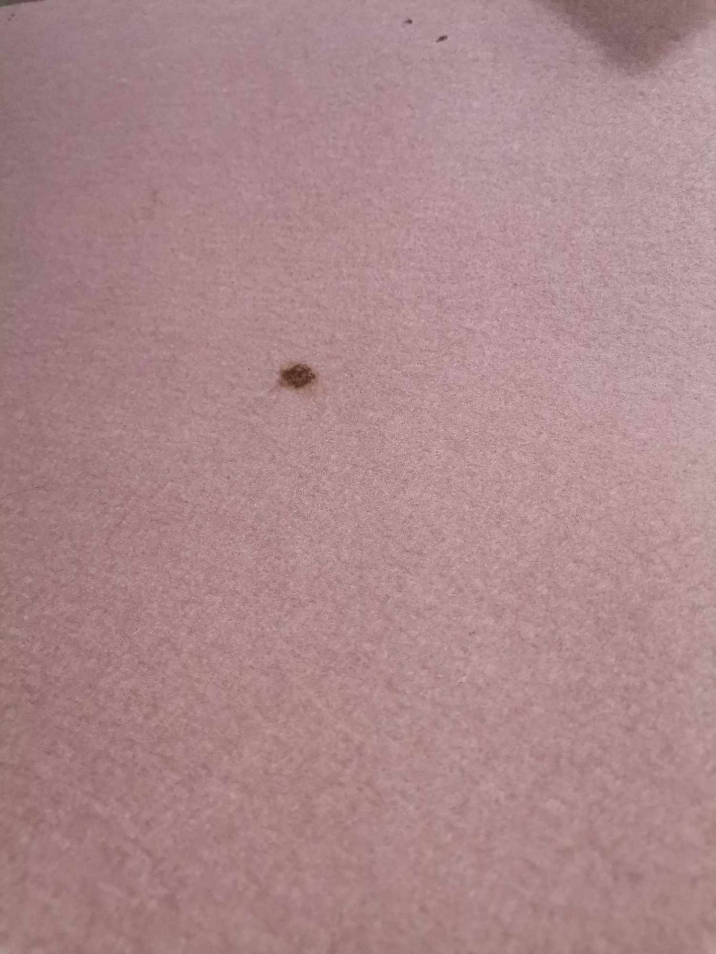 Detailaufnahme des puderfarbenen Hey Sign Teppichs (Mängelexemplar) mit kleinem Fleck, rechteckig, 140x200 cm.