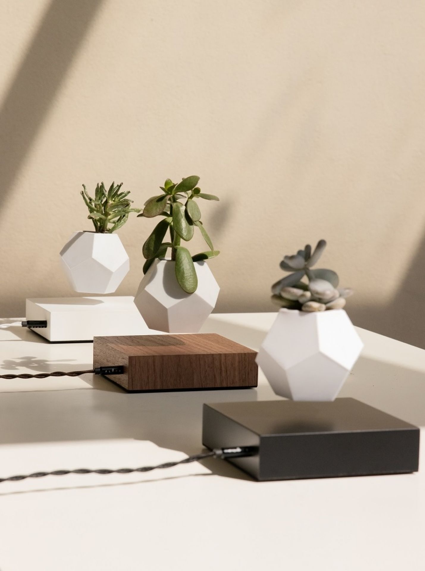 Lyfe schwebende Vase Klein & More Ahorn schwarz EINZELSTÜCK