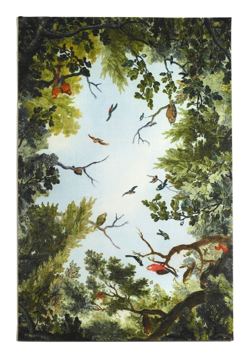 Cielo Teppich von Opinion Ciatti mit Waldmotiv: Bäume, Vögel und blauer Himmel.