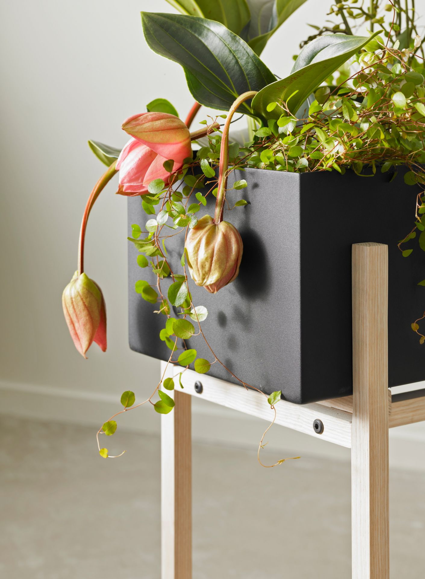 Detailaufnahme: Botanic Flower Stand Blumenkasten mit rosa Blüten und grünen Blättern auf hellem Holzgestell.