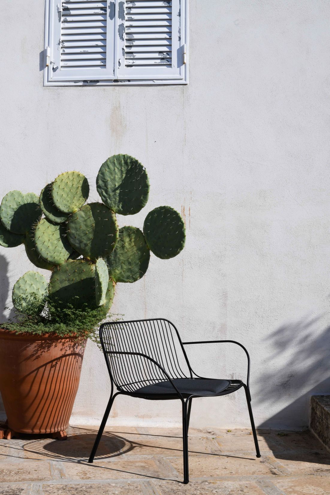 Schwarzer Hiray Outdoor Sessel von Kartell mit Kissen, neben Kaktus vor weißer Wand.